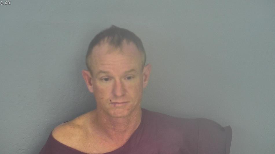 Arrest photo of PATRICK LIVELL