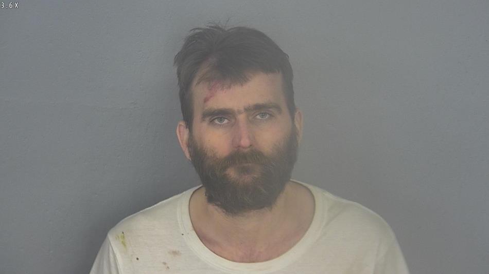 Arrest photo of PAUL LEE