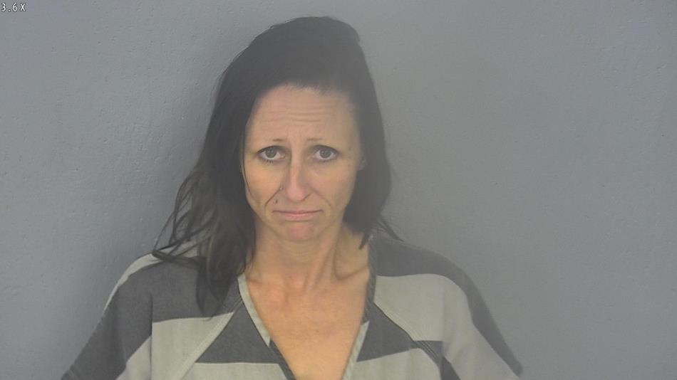 Arrest photo of PAULA JANKOWSKI