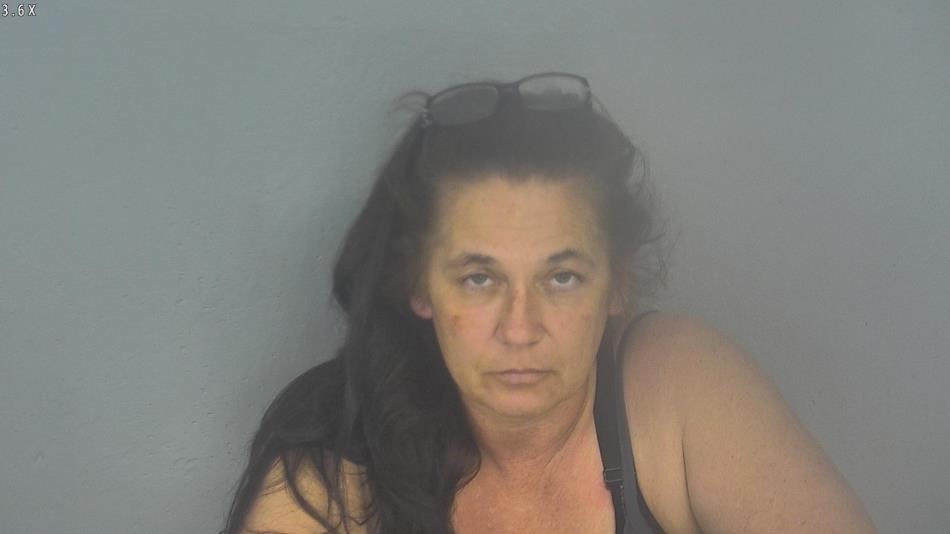Arrest photo of PAULA BARNES