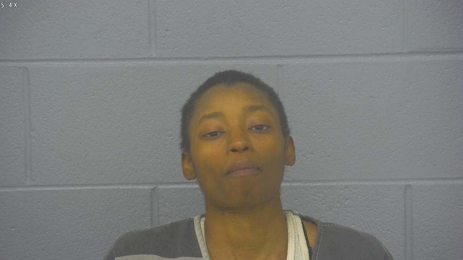 Arrest photo of PAULETTE THOMAS