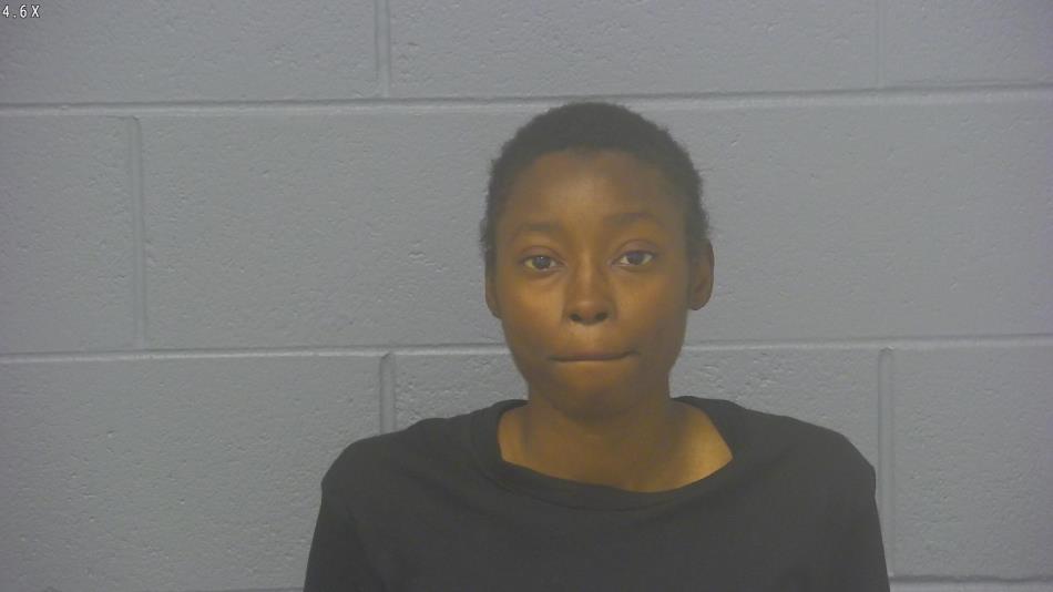 Arrest photo of PAULETTE THOMAS