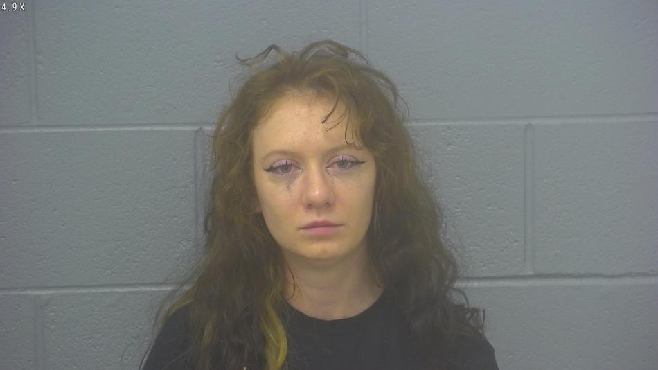 Arrest photo of PAYTON MCDANIEL