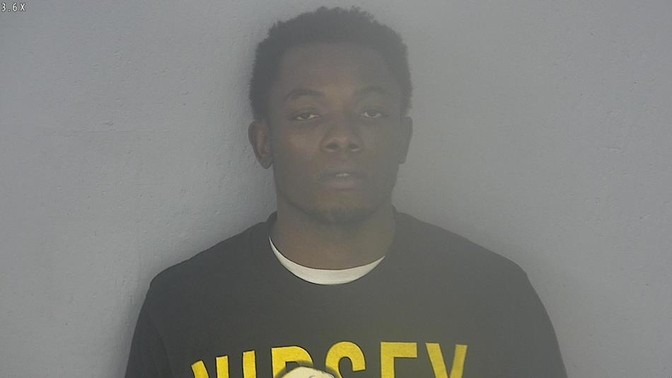 Arrest photo of PIERRE FRANCOIS