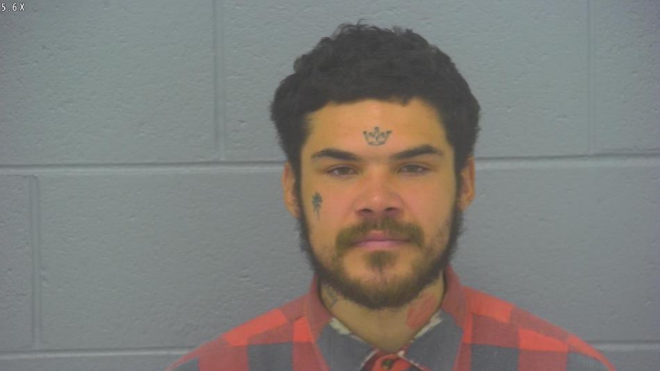 Arrest photo of PRESTON MORALES