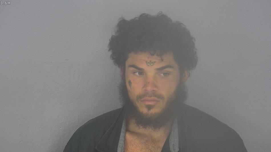 Arrest photo of PRESTON MORALES