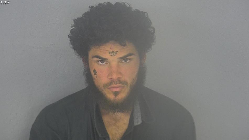Arrest photo of PRESTON MORALES