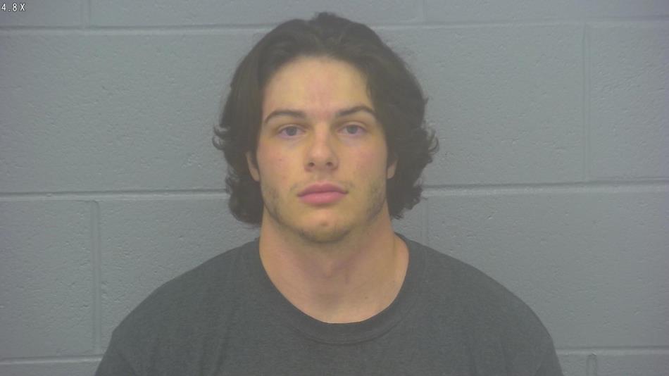 Arrest photo of PRESTON ELLINGSON