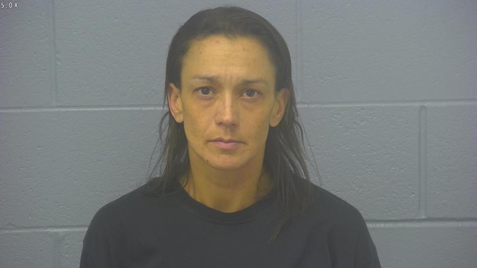 Arrest photo of QUINTANA LANGEL