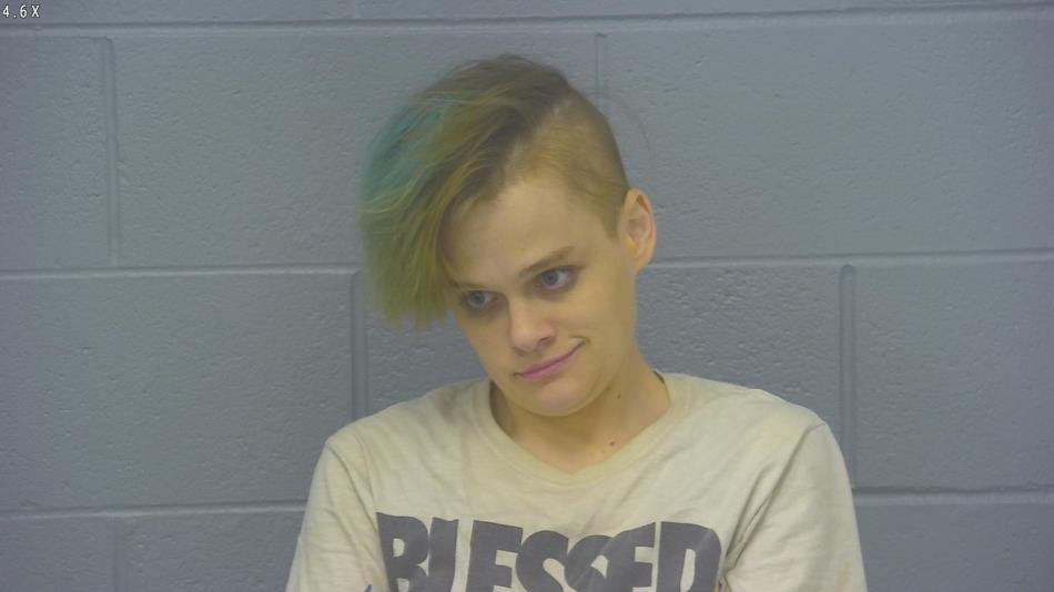 Arrest photo of RACHAEL POAGE