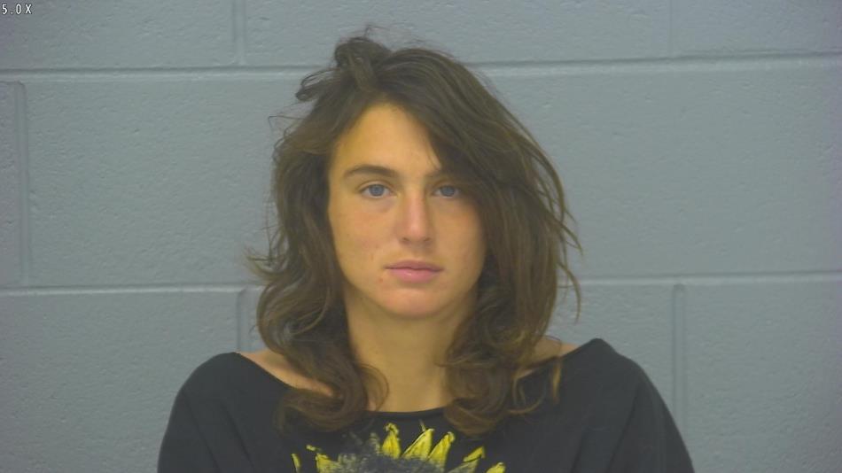 Arrest photo of RACHEL WHITSITT