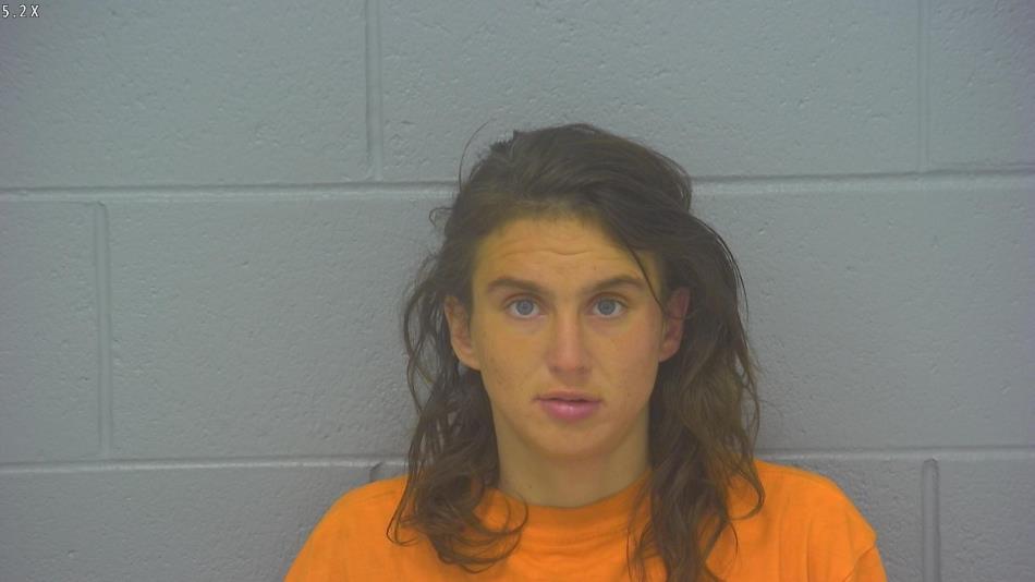 Arrest photo of RACHEL WHITSITT