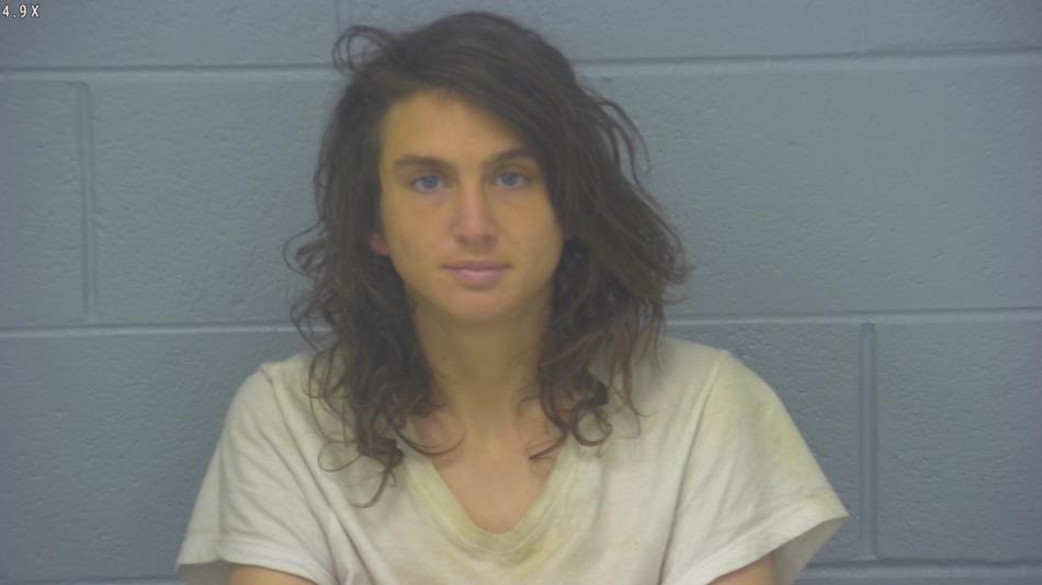 Arrest photo of RACHEL WHITSITT