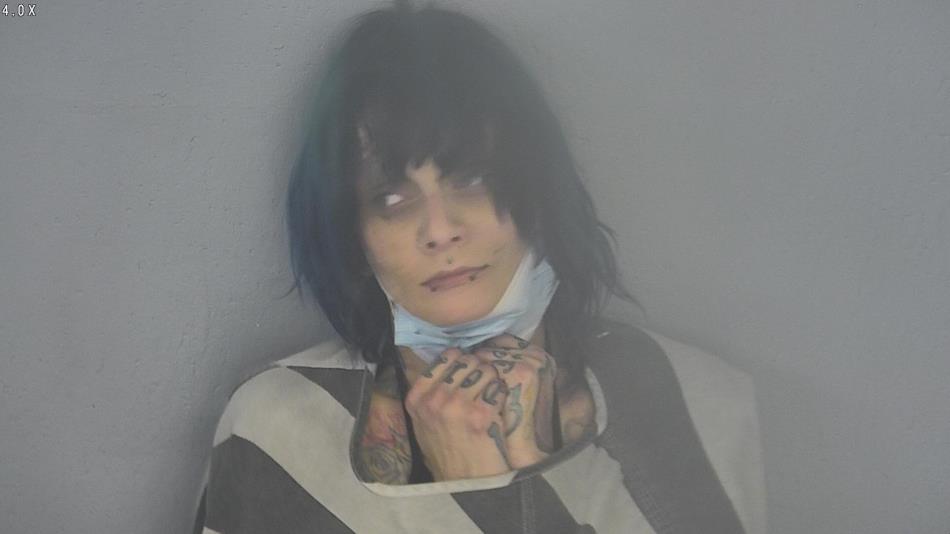 Arrest photo of RANDI GROSS