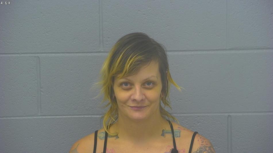 Arrest photo of RANDI GROSS