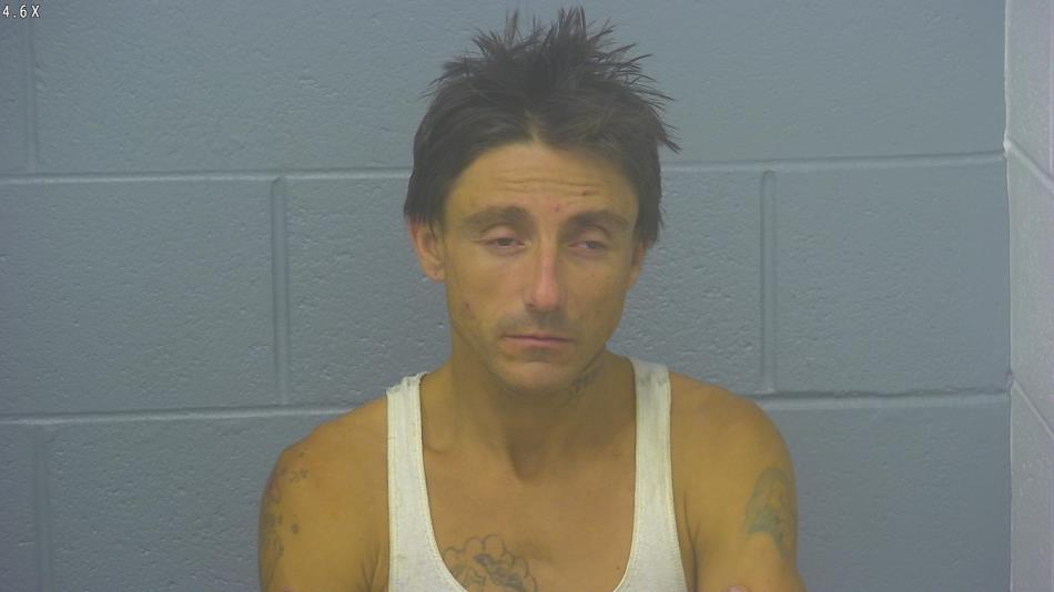 Arrest photo of RANDY MANES