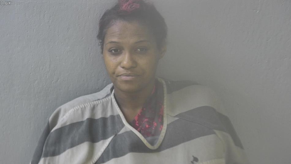 Arrest photo of RANISHA WATSON