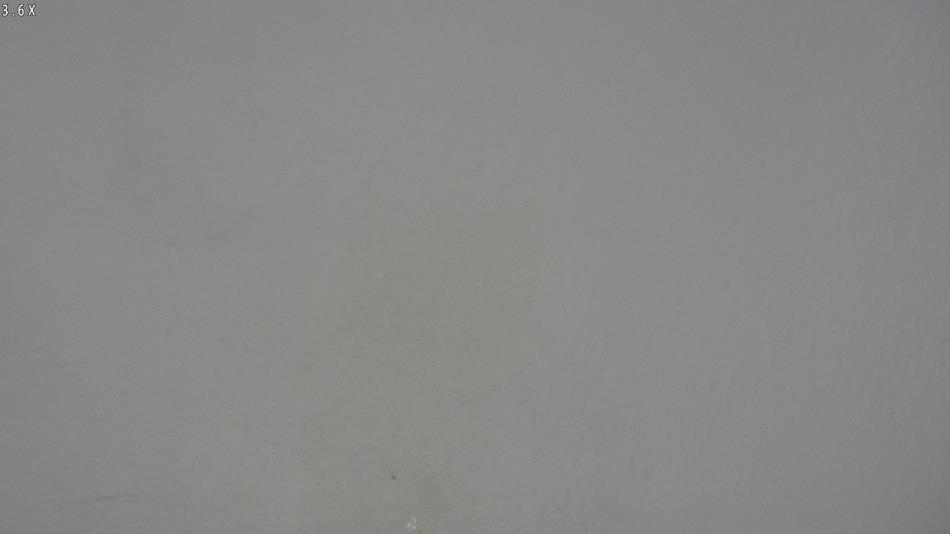 Arrest photo of RASHAD OQUELI