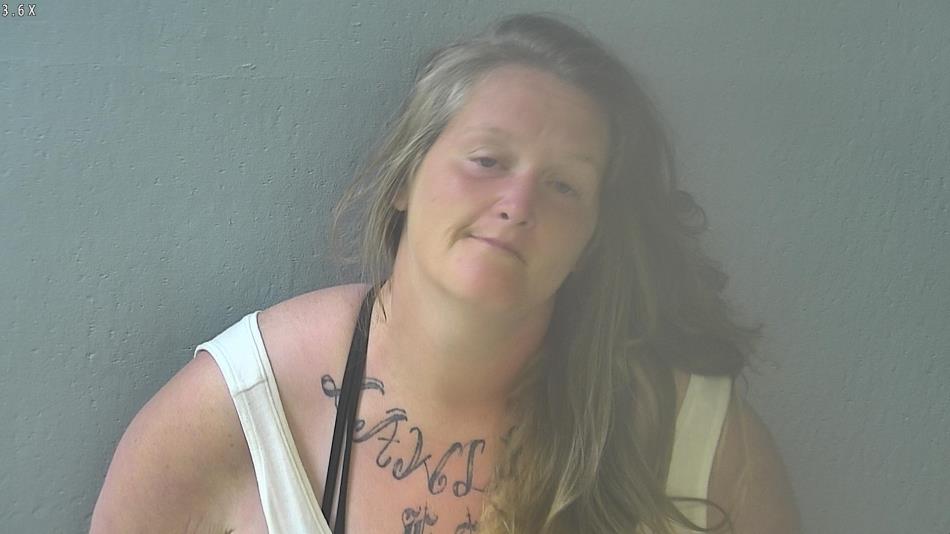 Arrest photo of RAVEN LAWLESS