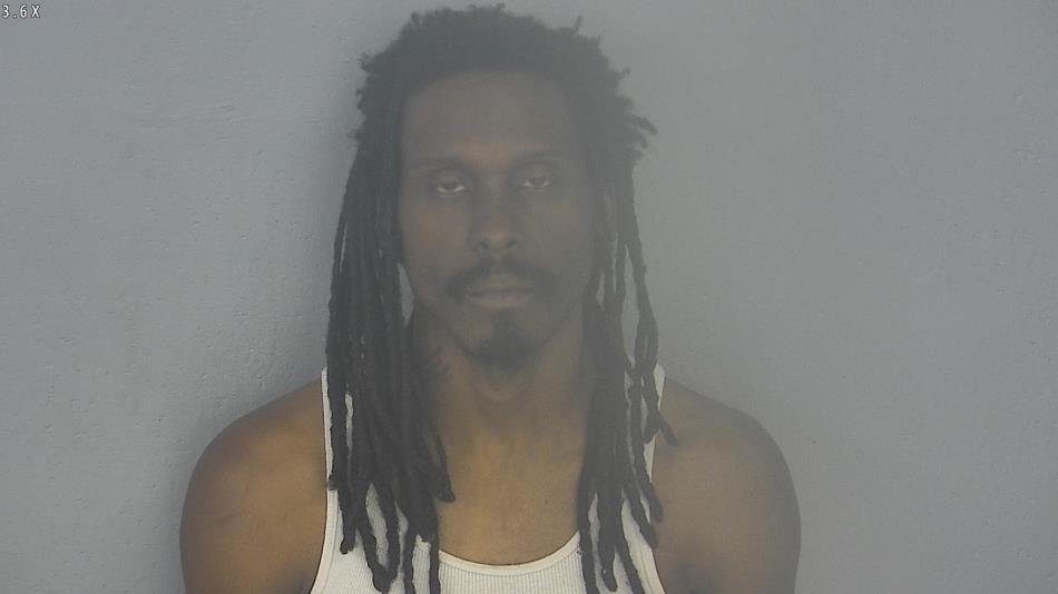 Arrest photo of RAYMOND PERRY