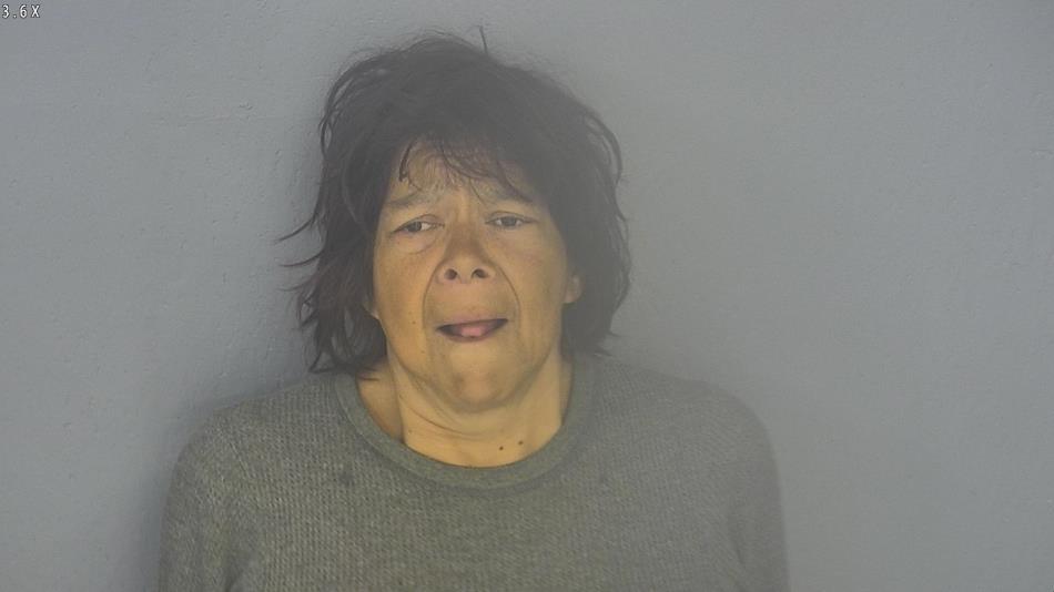 Arrest photo of REBECCA DAVIS