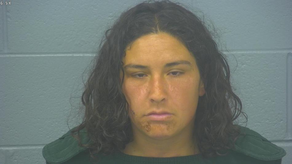 Arrest photo of REBECCA PORTO