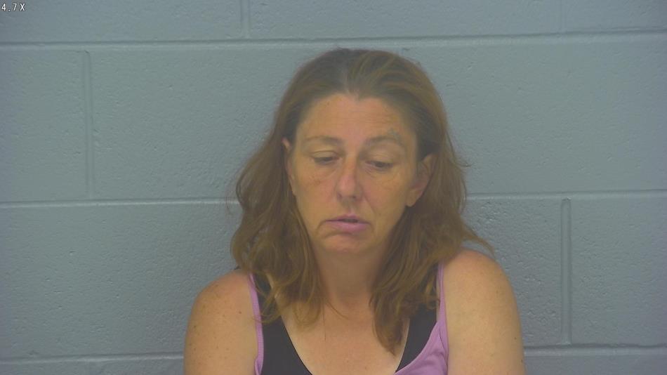 Arrest Photo of REBECCA BOCHANTIN in Greene County, MO.