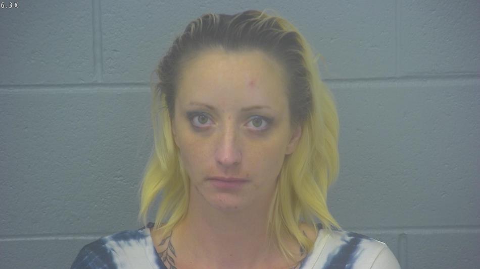 Arrest Photo of REBECCA BRIDGES, arrested on 8/26/2024