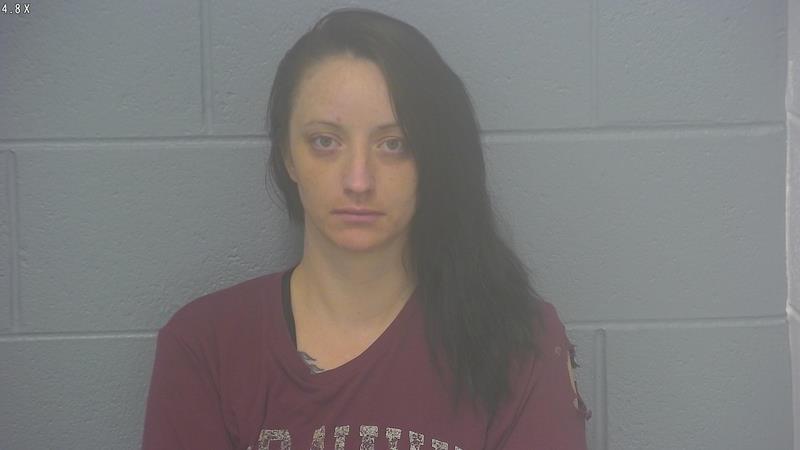 Arrest photo of REBECCA BRIDGES