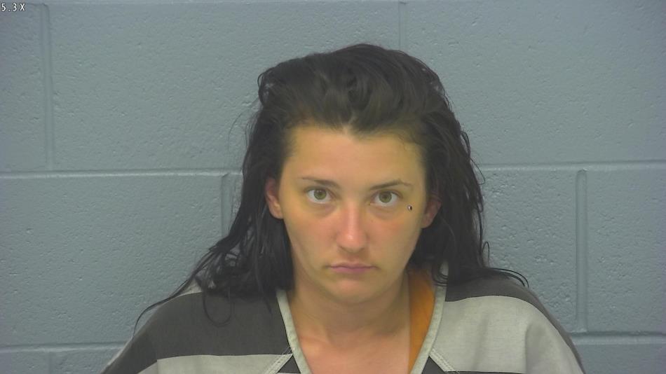 Arrest photo of REBECCA CHOTROW