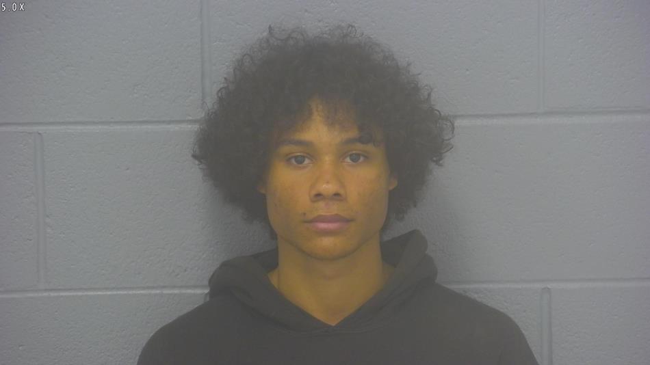 Arrest photo of REESE DENT