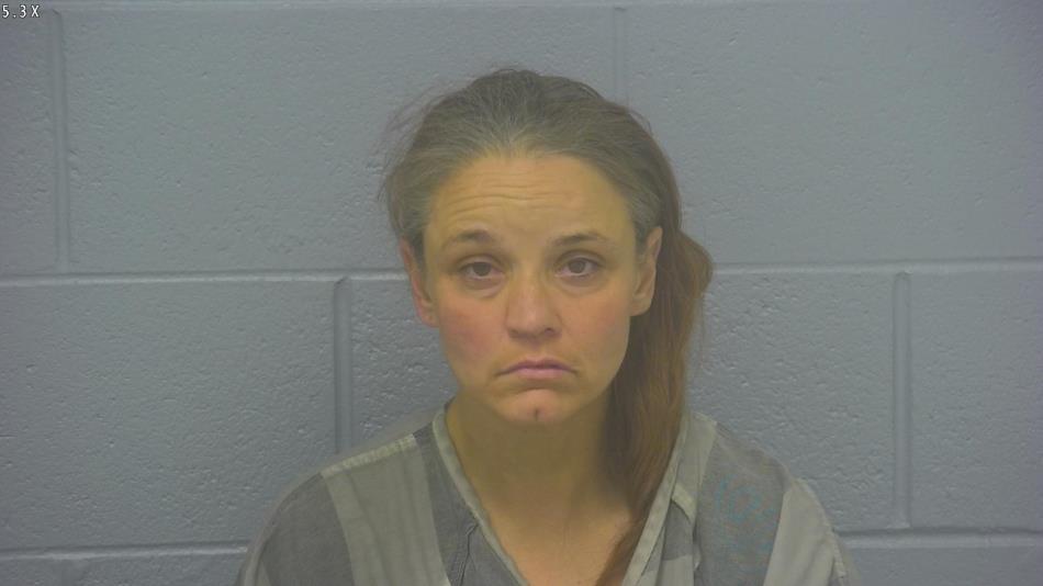 Arrest photo of REGINA COOK