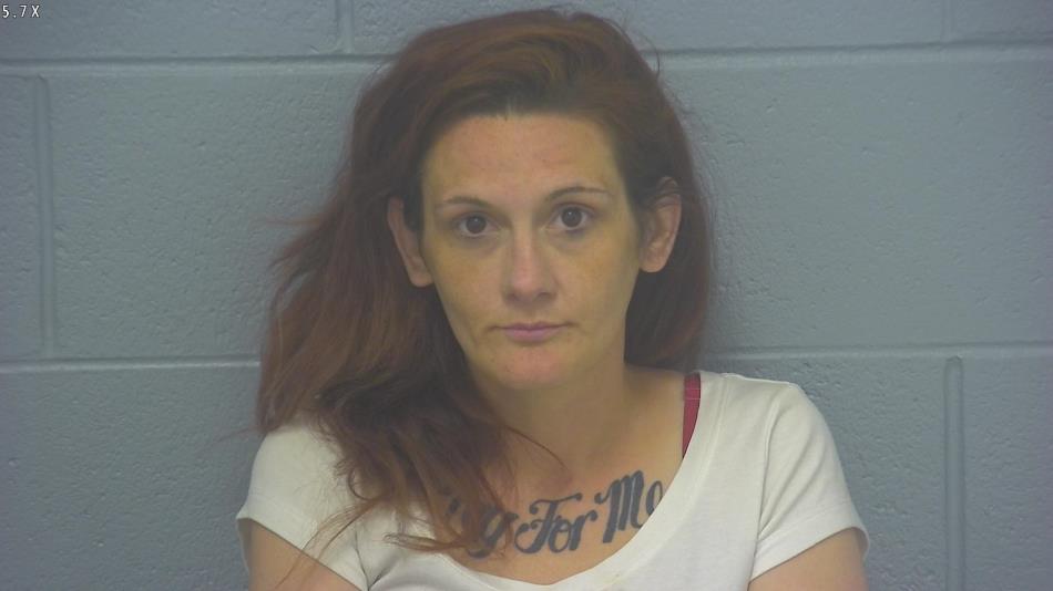 Arrest photo of RENEE MALIN