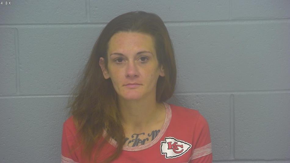 Arrest photo of RENEE MALIN