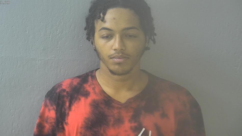 Arrest photo of RENO MYERS