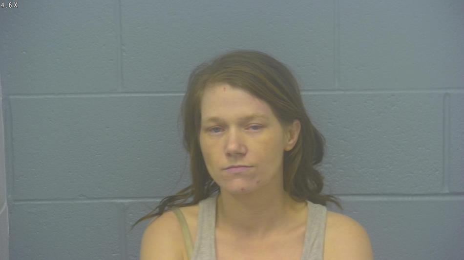 Arrest photo of REVA WOODS