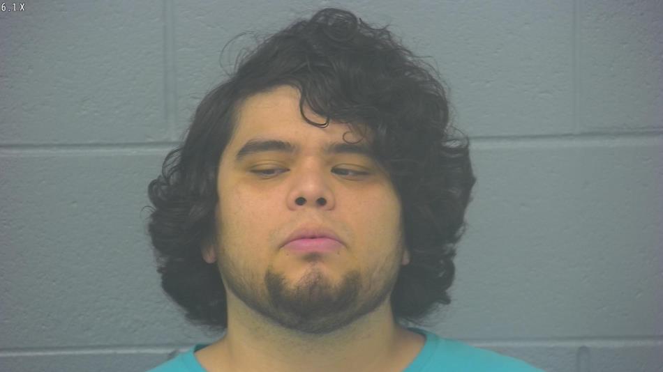 Arrest photo of RICARDO RODRIGUEZ