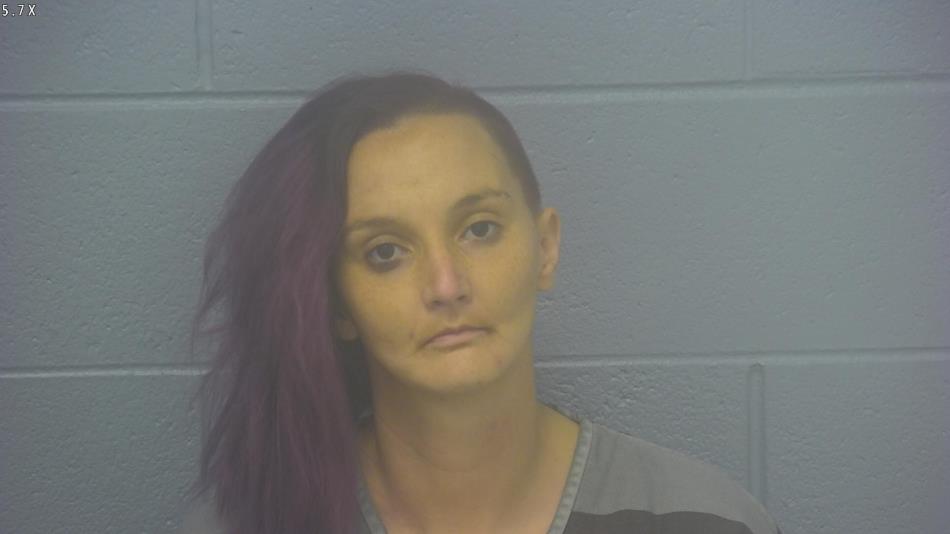 Arrest photo of RICKI RAINS