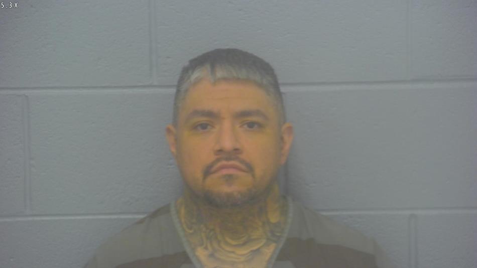 Arrest photo of RICKY ARELLANO