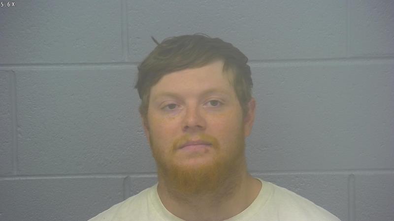 Arrest photo of RICKY HANKINS