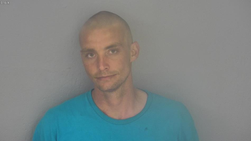 Arrest photo of ROB VOELKER
