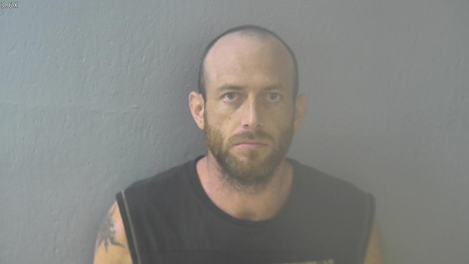 Arrest photo of ROBERT BELL