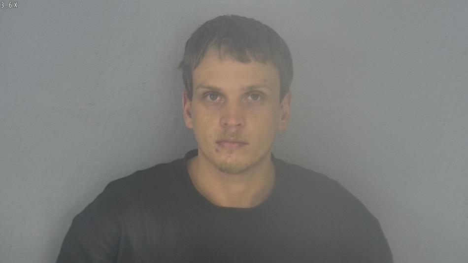 Arrest photo of ROBERT WOODS