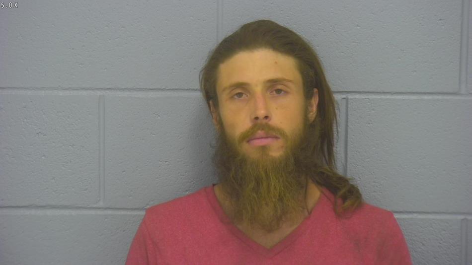 Arrest photo of ROBERT JOHNSTON