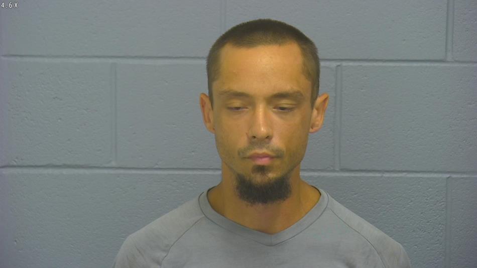 Arrest photo of ROBERT REECE