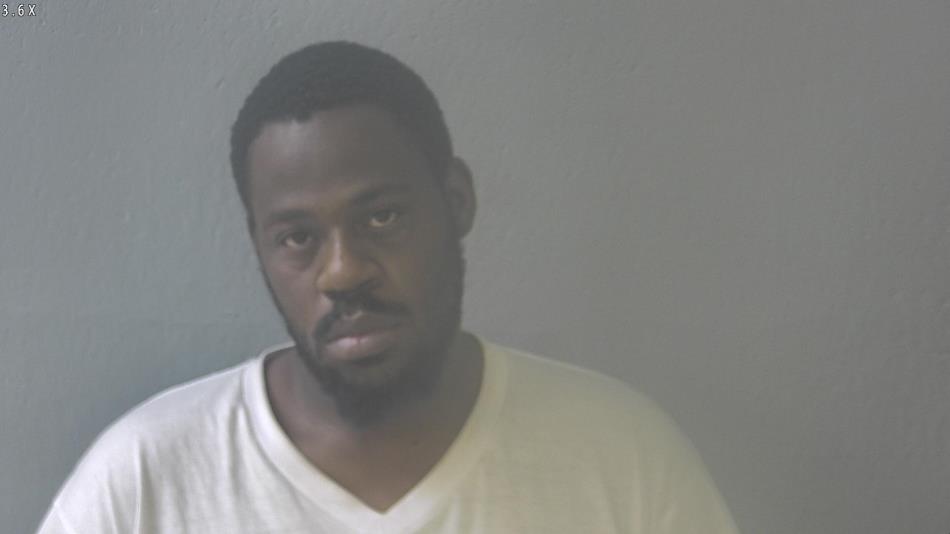 Arrest photo of ROBERT RICE