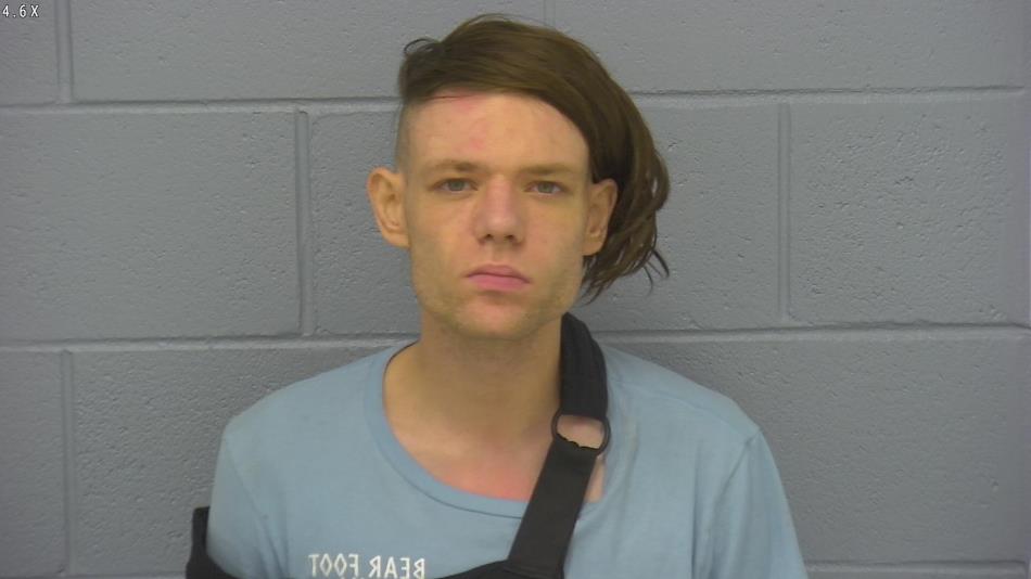 Arrest photo of ROBERT CUMMINGS