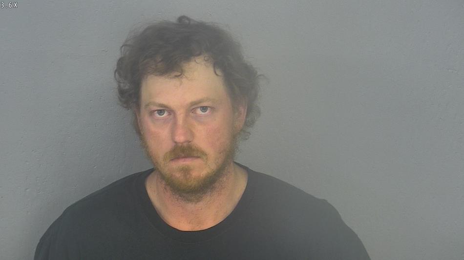 Arrest photo of ROBERT BRYANT