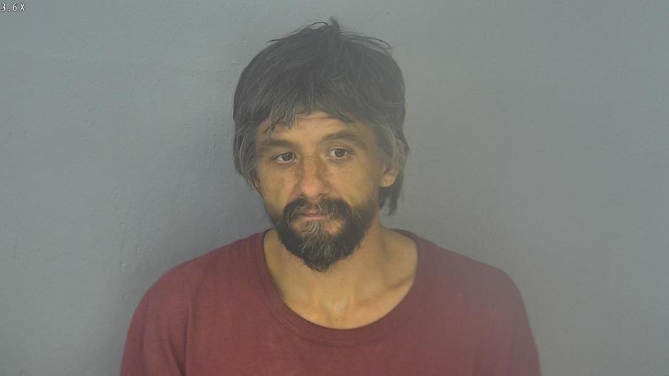 Arrest photo of ROBERT BUSSARD