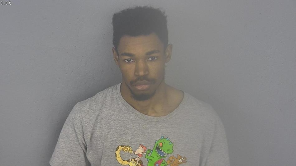 Arrest photo of ROBERT NELSON